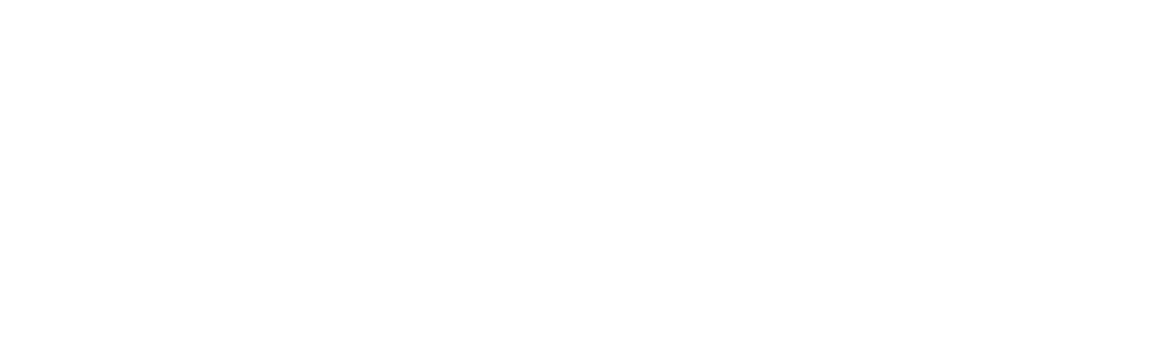 EnvisionITWhiteLogo-01